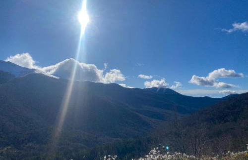 La casa nel bosco-Val Granara guesthouse - Foto 55