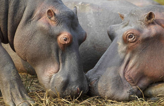 17 Manzini Holiday Resort - Foto 24