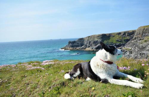 2 Bed in Padstow oc-p00282 - Foto 11