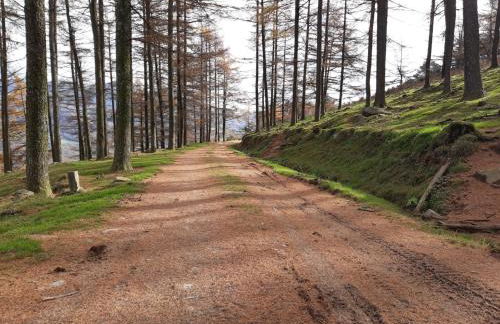 Apartamento Baztán - Foto 10