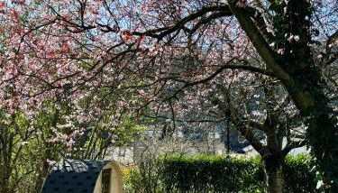 Garden Eden & Sauna - Foto 3