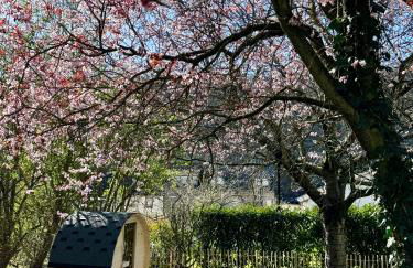 Garden Eden & Sauna - Photo 3