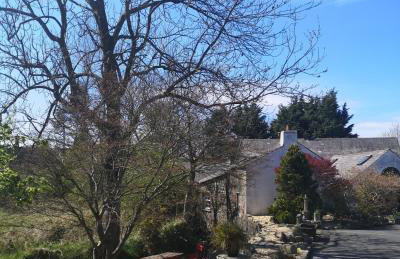 Riverside Cottage at Logwood Mill - Foto 84