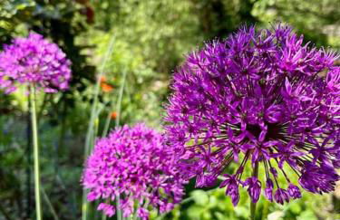 Wohnen im Fachwerk - Ferienwohnung Fenja - Foto 32