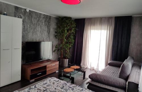 Ferienwohnung Rhein-Main II - Foto 2