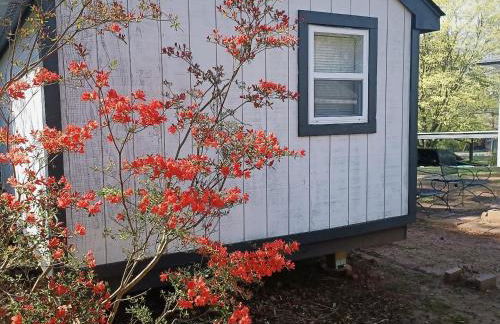 The Treasure House - Foto 43