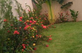 Casa Temporada Nosso Recanto Piscina aquecimento Solar - Foto 11