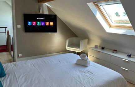 La Terrasse du Belvédère-appartement 3 chambres-Nancy- avec stationnement - Foto 17