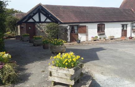 The Long Barn - Foto 10