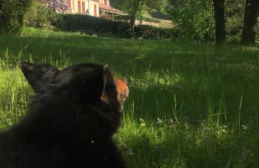 Agriturismo Barchessa - Foto 57