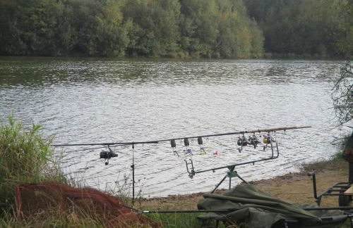 Gite de la foret - Foto 35