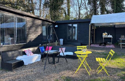 Outlook farm cabin firepit - Photo 40