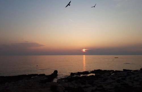 Villa Lucia Umag - Photo 57