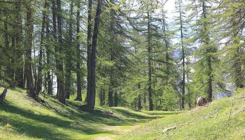 APPARTEMENT DANS CHALET 6 PERSONNES - Foto 4