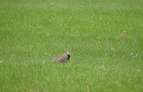 The Lodge - Bidford Grange Golf Course - Photo 18