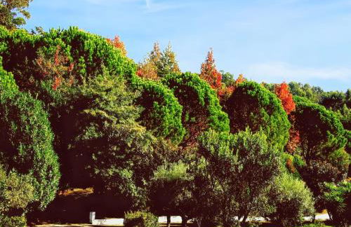 Ideal Villa in Vila Nova de Famalicão with Private Pool - Foto 37