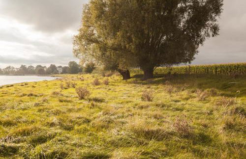 Gutshaus Üselitz - Foto 3