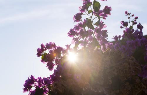 Villa Opatija - Photo 53