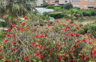 Résidence Le Pharo - Photo 32