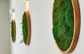 Villa Green Forest with wellness and heated salty pool - Photo 61