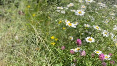 Chalet le Brespail - Station le Mourtis - Foto 4