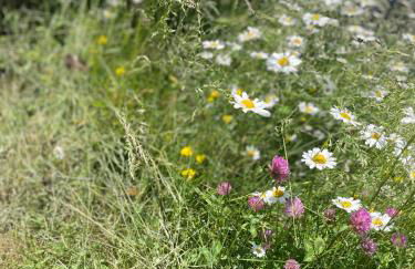 Chalet le Brespail - Station le Mourtis - Foto 4