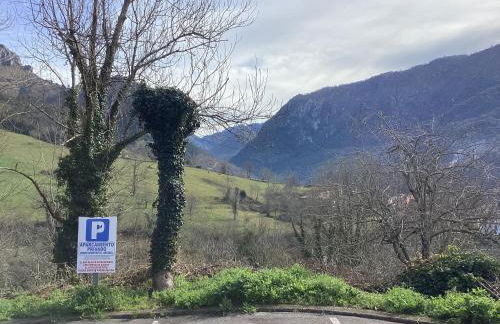 Apartamentos El Ardinal - Foto 67