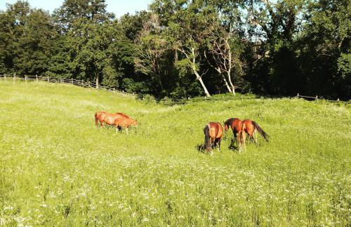 Agriturismo Il Colle del Falco - Photo 34