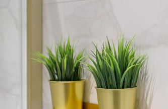 Smugglers Snug - Foto 51