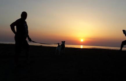 Ostseebauernhof Schönhagen - Foto 27