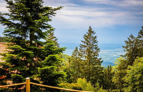 Sonnenhäusle - Natur. Fernblick. Panorama-Sauna. - Foto 79