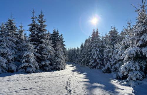 Berghütte Astenpanorama - Foto 34