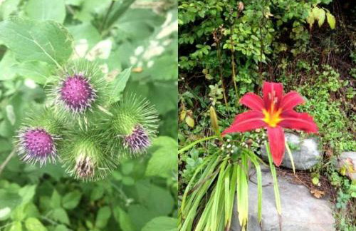Rustic Couples' Cabin for Idyllic Catskills Getaway, Upstate New York - Foto 14