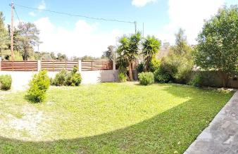 Green Heaven - Foto 32