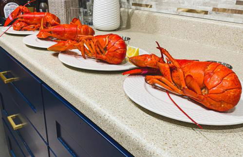 Lucky Stone Retreat - Private Beach & Acadia View - Foto 41