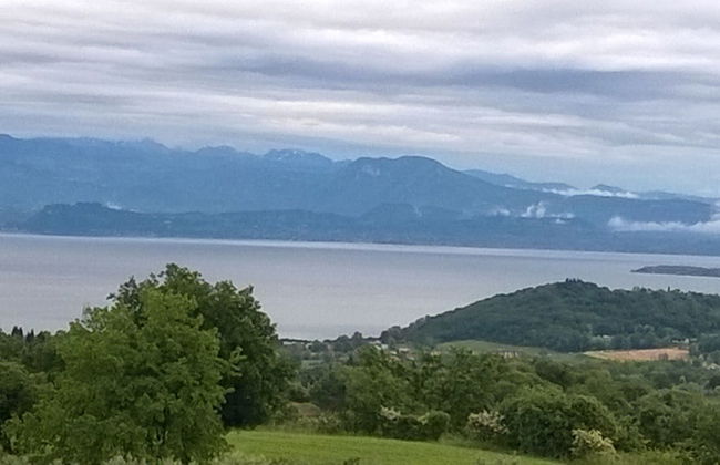 Farmhouse Paradiso - Foto 50