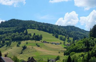 Haus Belchenherz - Münstertal - Foto 29