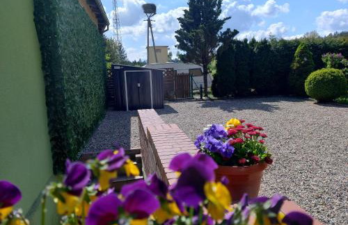 Agroturystyka Magnolia - Foto 20