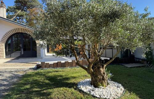 Villa Dune & Océan - Foto 16