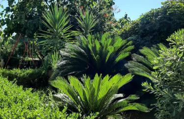 Residence Martina - Foto 13