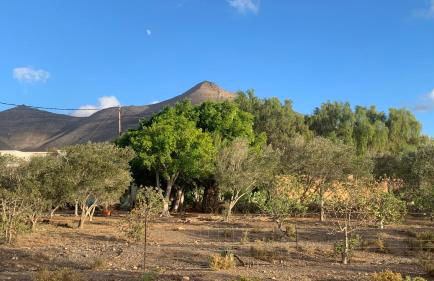 La Finca de Los Padres - Foto 23