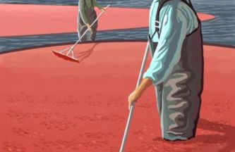 Beach Get Away Fabulous Vintage Trailer - Foto 37