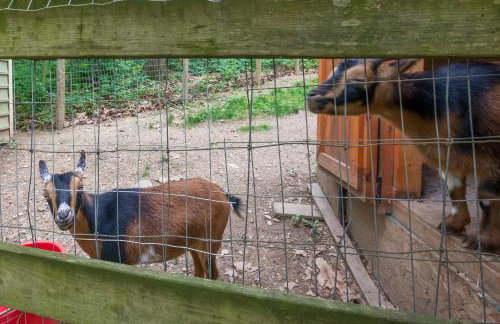 Charming Manheim Cottage with On-Site Animal Viewing - Foto 25