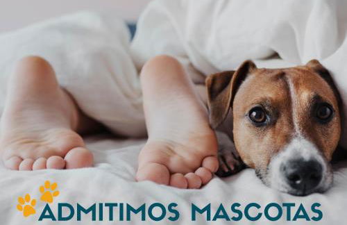 Apartamentos con piscina Peñiscola 3000 - Foto 8