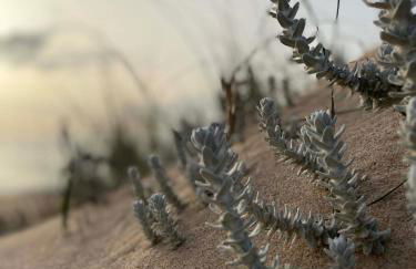 casa da praia azul - Foto 17