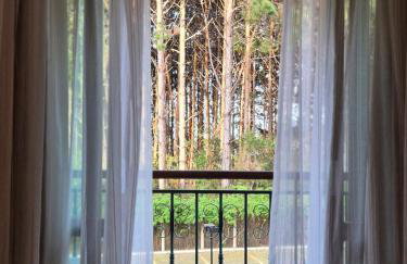 Apart Vista Azul - Conforto com a vista para a mata de pinheiros - Foto 9