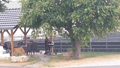 Galloway Hof Wantewitz - Foto 4