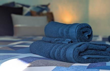 Gîte Le Grand Albizia - Foto 44