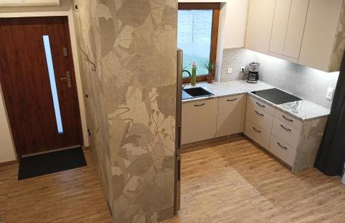 Letnisko domek z Sauną i Balią - Foto 25