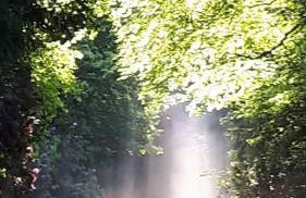 Altmarkblick - Foto 21